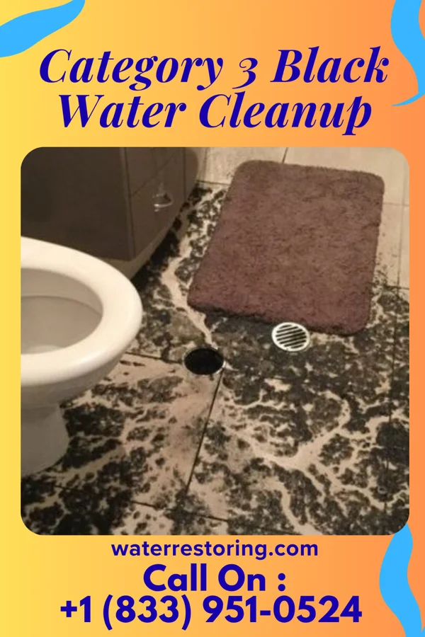 Category 3 Black Water Cleanup in East Pepperell, MA