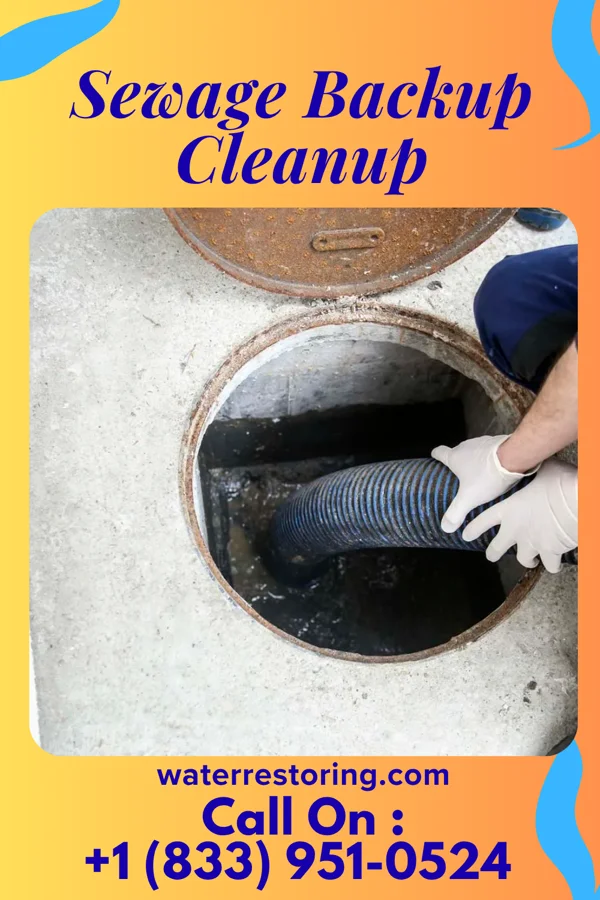 Sewage Backup Cleanup in East Pepperell, MA