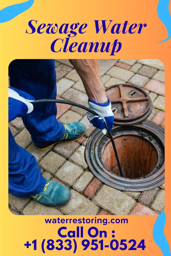 Sewage Water Cleanup in East Pepperell, MA