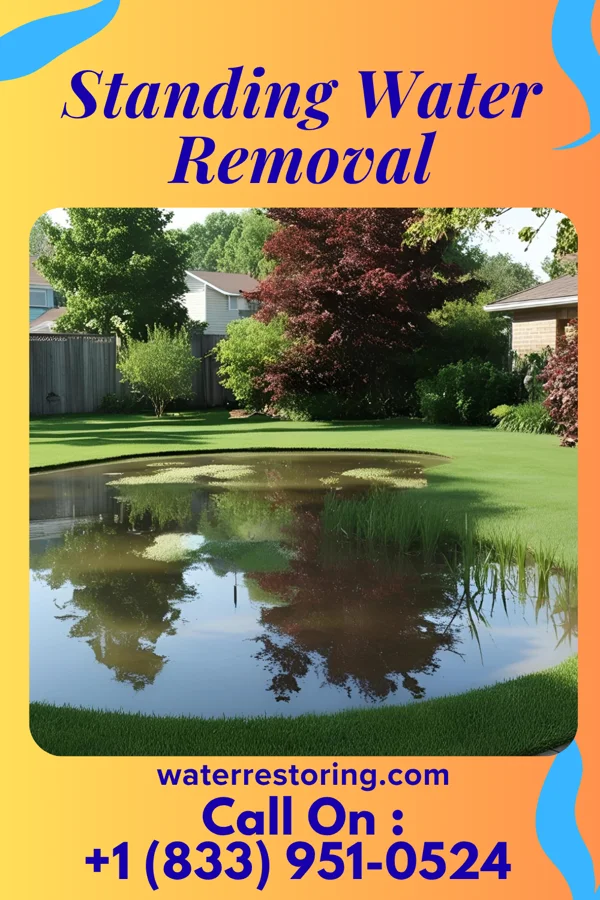 Standing Water Removal in East Pepperell, MA